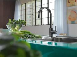 Franke Rubinetto da cucina Eos Neo bocca girevole nero spazzolato 115.0613.590