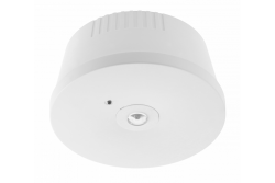 Apparecchio di illuminazione di emergenza OGLA LED, 3W, 200lm, AC220-240V, 50-60Hz, IP20, 6400K, 3H, compito singolo, pulsante TEST 1208963016