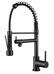 Aquanello Gastro Rubinetto da cucina con funzione a spruzzo professionale, nero BL-4402-GT